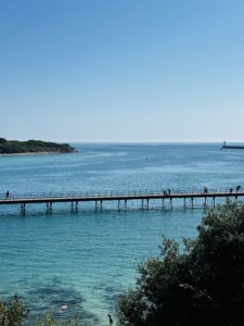 La Passerelle des Capucins